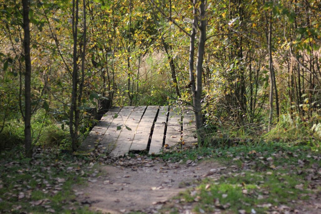 nature background with wooden footbridge. photo postcards for any purpose
